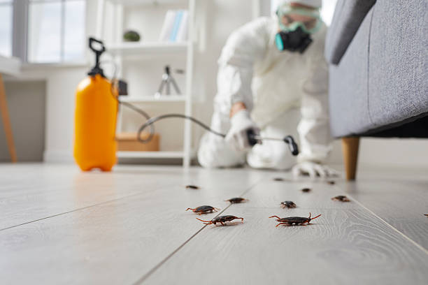 Commercial Kitchen Cockroach Control in Knoxville